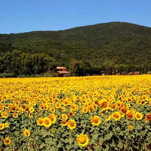 Agriturismo Valborgina Castiglione della Pescaia